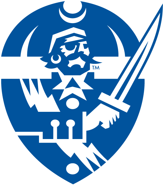 Hampton Pirates 2007-Pres Secondary Logo diy iron on heat transfer